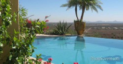 Pool Areas That Feel Like a Tropical Oasis