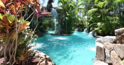 Pool Areas That Feel Like a Tropical Oasis-Lush Rainforest