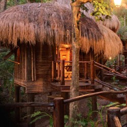 10 Gorgeous Gazebos that Feel Like a Dream Getaway-Rainforest retreat