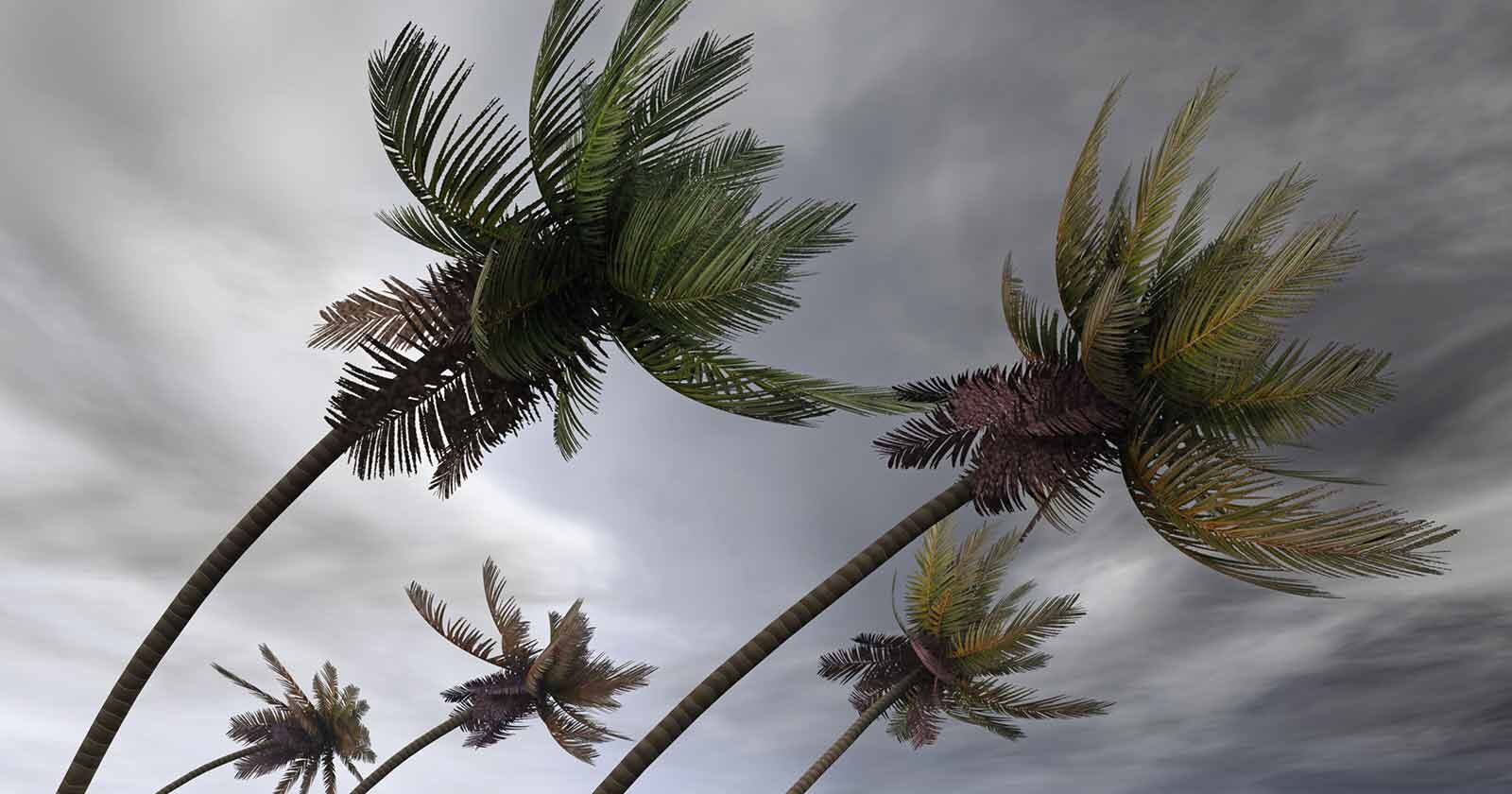 FEMA predicts active hurricane season