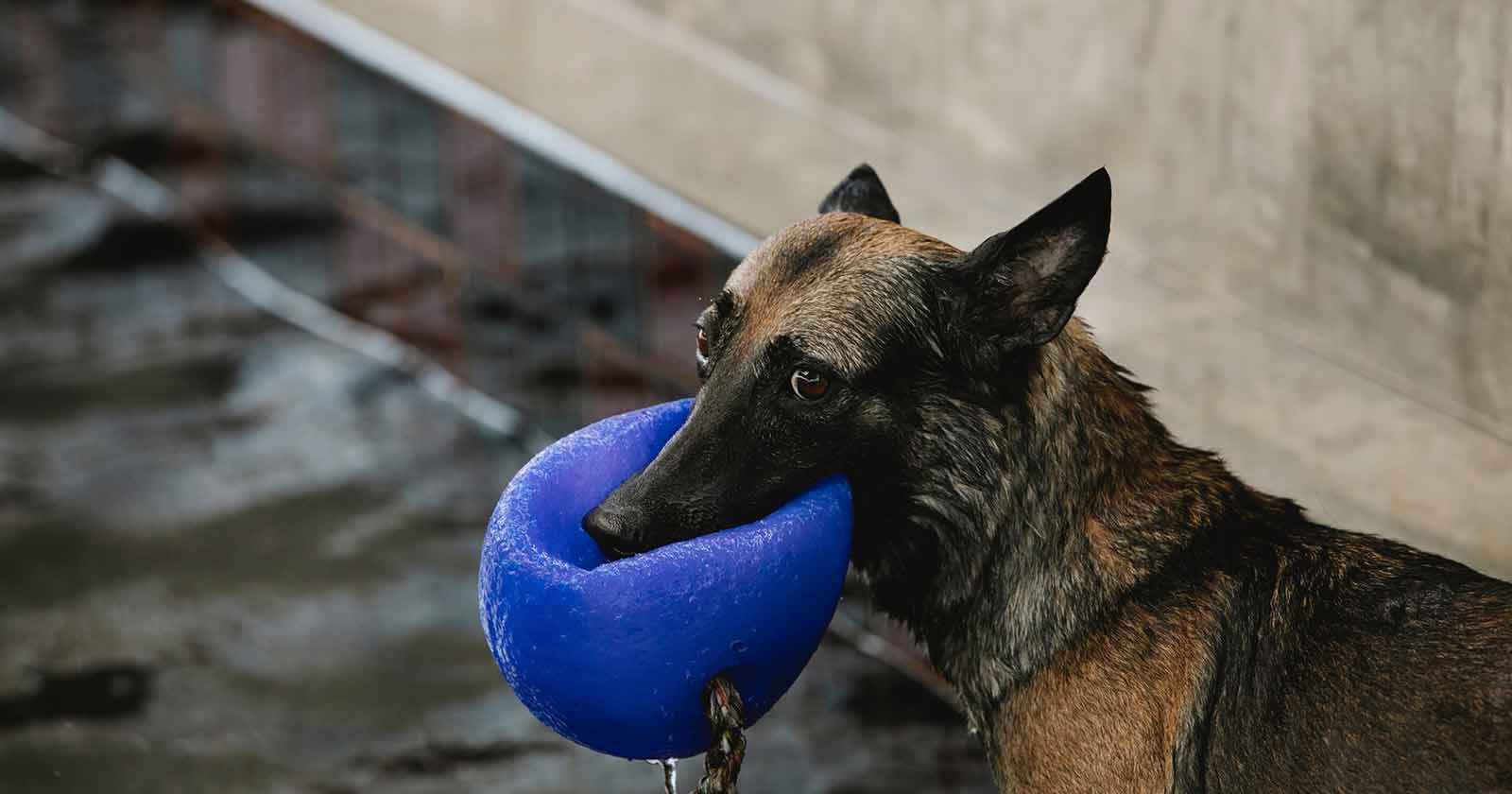 repair pool screen again