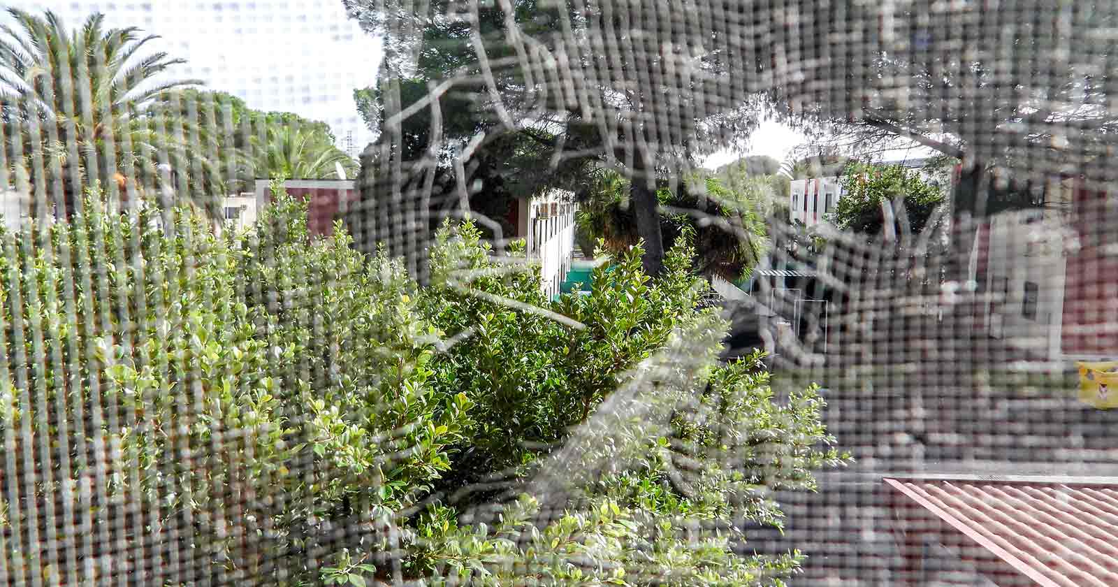 Replace Your Screens Now Spend Summer Bug Free