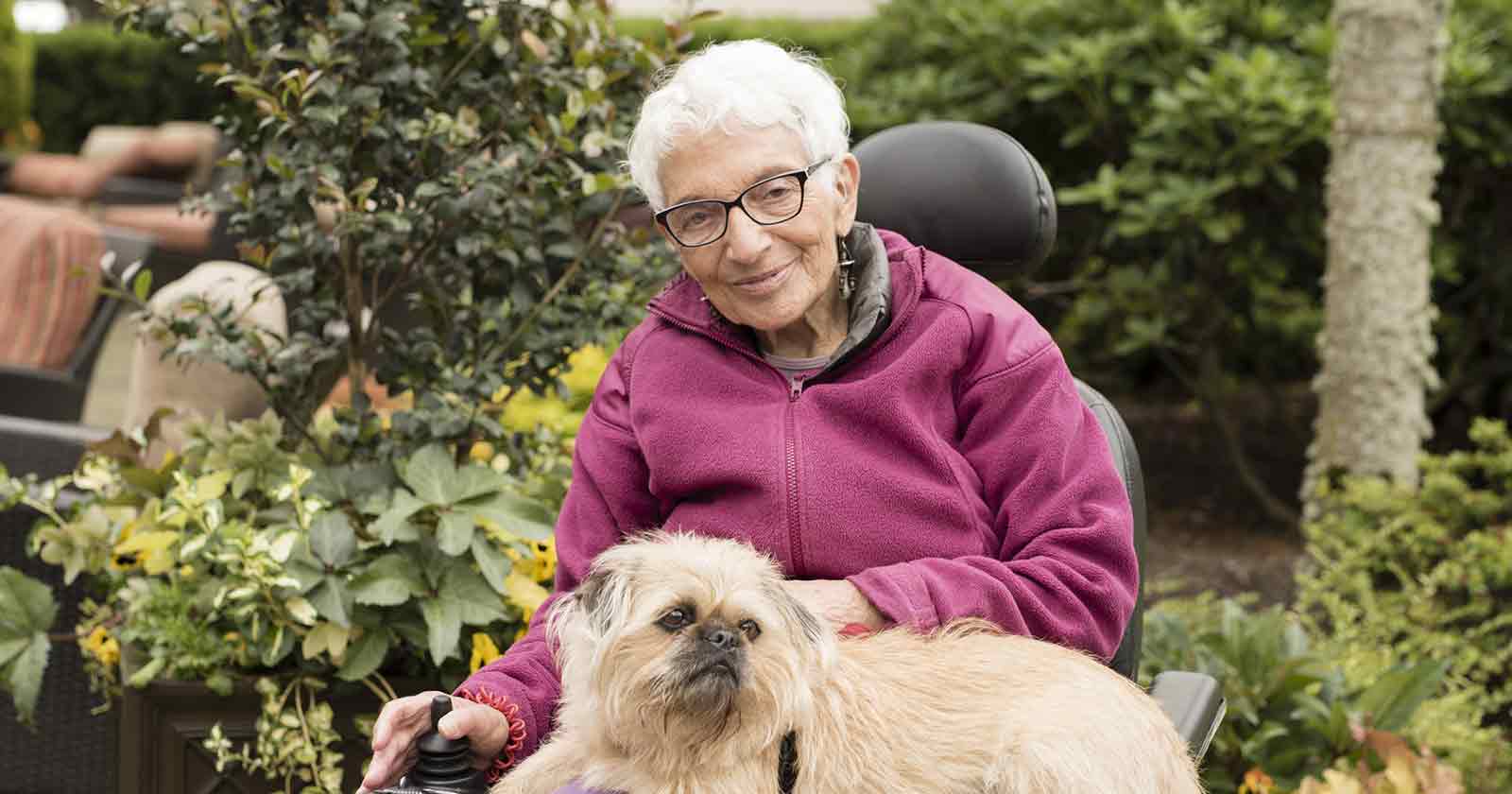 assisted living environment can include paradise