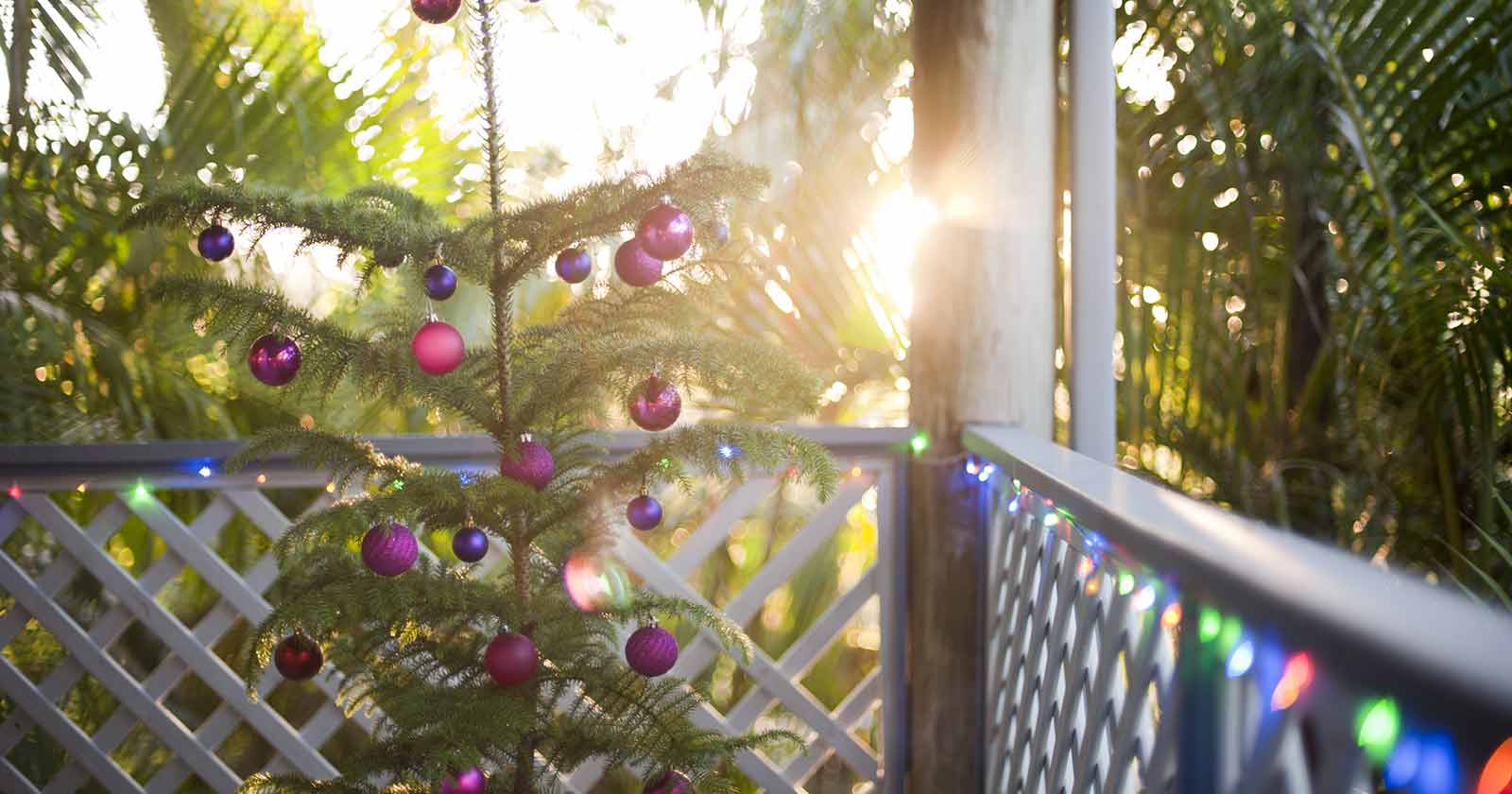 enclose-lanai-enhance-holiday-gatherings